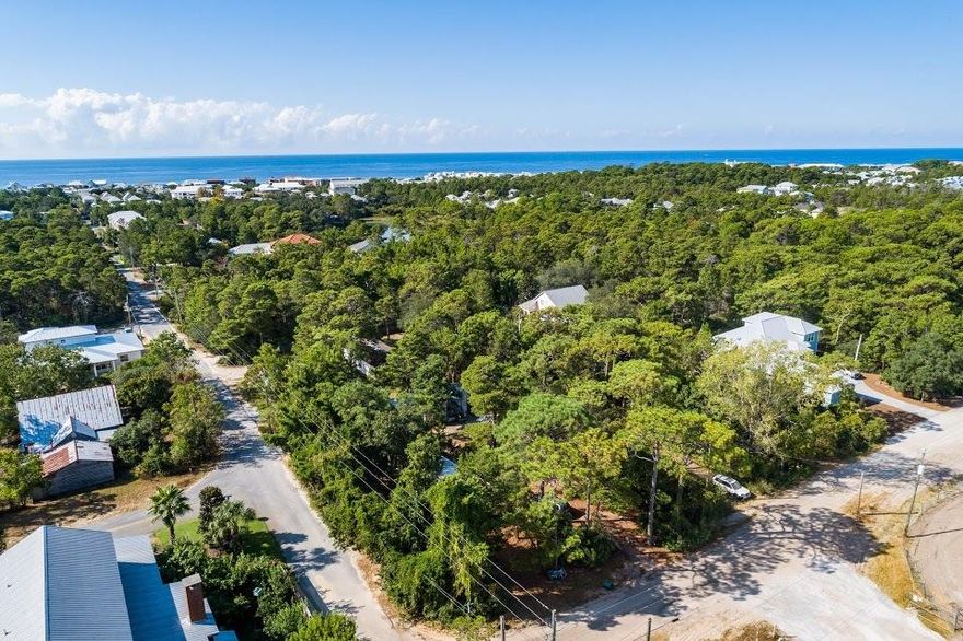 Over 3/4 an acre zoned Neighborhood Infill which allows for up to eight units per acre, multi-family, neighborhood commercial, professional services, live and work services, or artisanal use governed by section G. Buyer is  responsible for own due diligence and a reasonable feasibility period will be allowed. There are currently two mobile homes on the property producing $1,600 per month in rental income and the public beach access with restrooms is a short walk. This property sits adjacent to Longleaf Pine Trailhead State Park and the county engineers have completed the paving on Seacroft Drive which is a direct route to Highway 393.