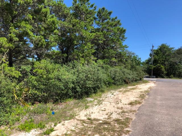 This densely-wooded generous building lot is ready for a gorgeous new beach home. A brief 10-minute stroll will take you to the beach, the Creamery, Blue Mabel, and Redfish Village for dinner. The Long Leaf trail for hiking and biking in Pt. Washington State Forest is steps away. Drive by and see this great property in a peaceful area of fine homes and wonderful neighbors.