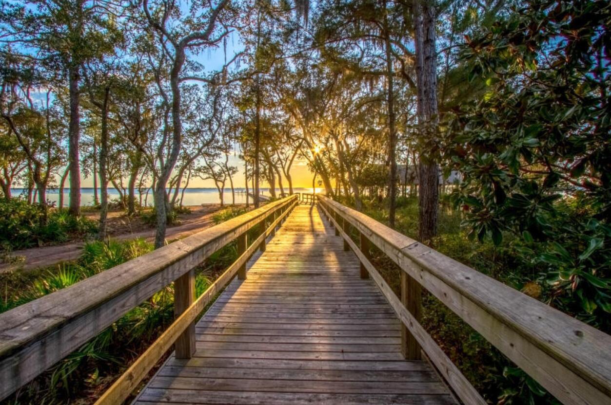 HAMMOCK BAY - Residential