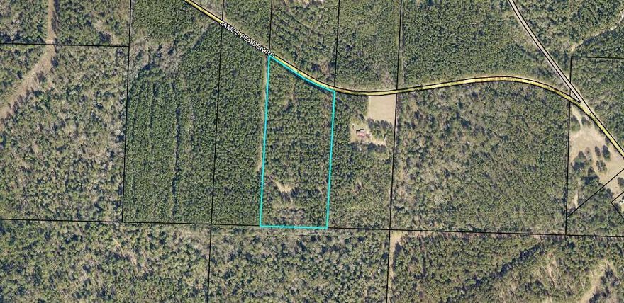 Bring your plans and build your dream home on this 12.83+/- acre wooded parcel in Baker! Enjoy the privacy provided by Black Water State Forrest located behind you. Easy access to Alabama up Hwy 189 or Hwy 2 to Laurel Hill and Hwy 85.