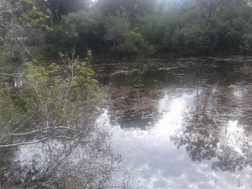 Seller is offering owner financing on this beautiful lot. Almost an acre of land sitting right on a spring-fed lake with bream and bass, this lot is the perfect site for your future home. There is a 20-foot wide horseshoe driveway and a clear building site. The rest of the property has been selectively cleared. The lots bordering the property are undeveloped. It's on a short, paved, dead-end street with a country atmosphere, but still close to town and everything you need. There are no HOA fees. This property has a new survey and a conventional 3-bedroom septic certification letter available as well.