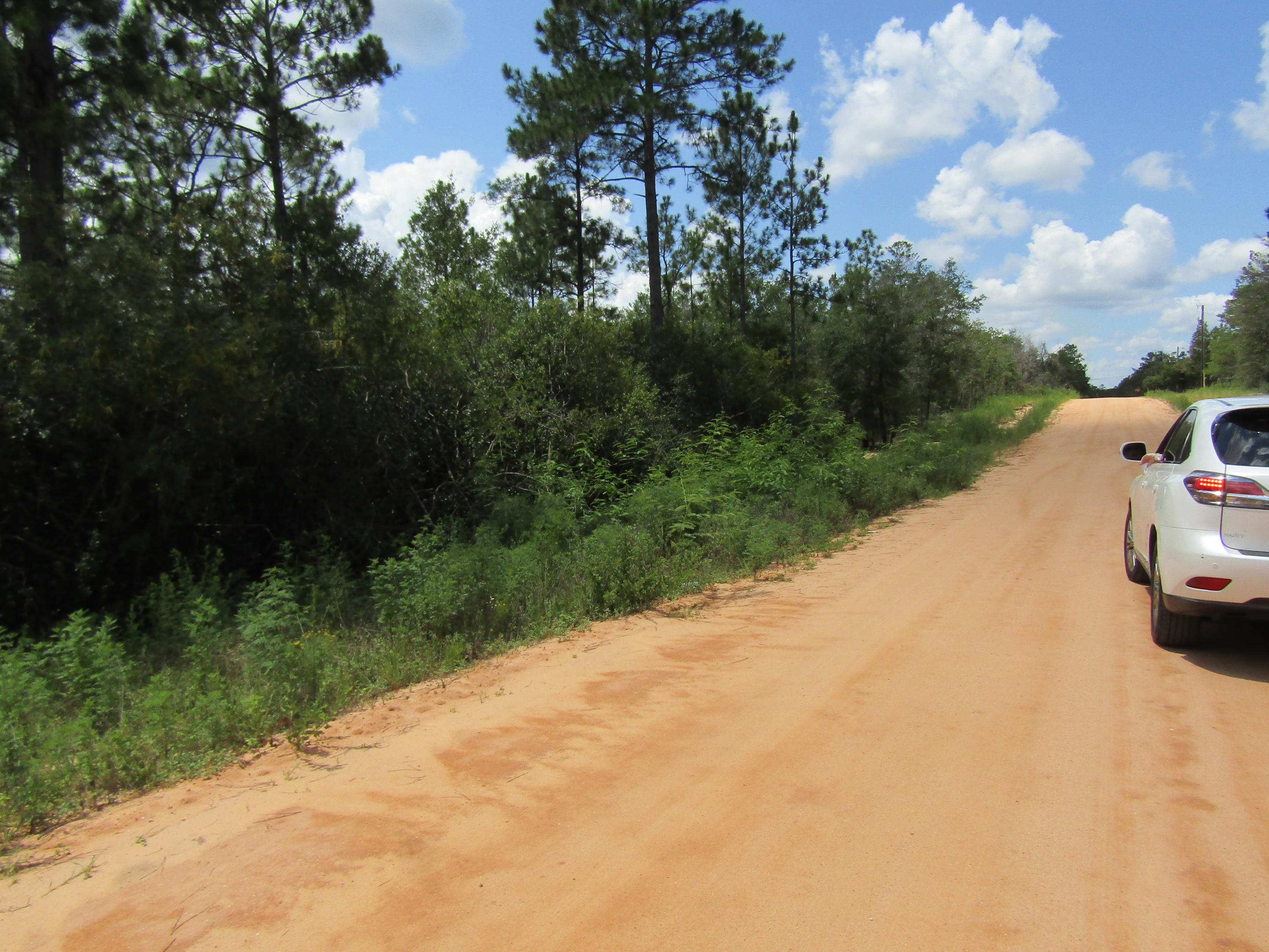 Lot 10 on Juniper Ave wooded lot on a dirt road. Appox 0.25 acre subject to an up to date survey.