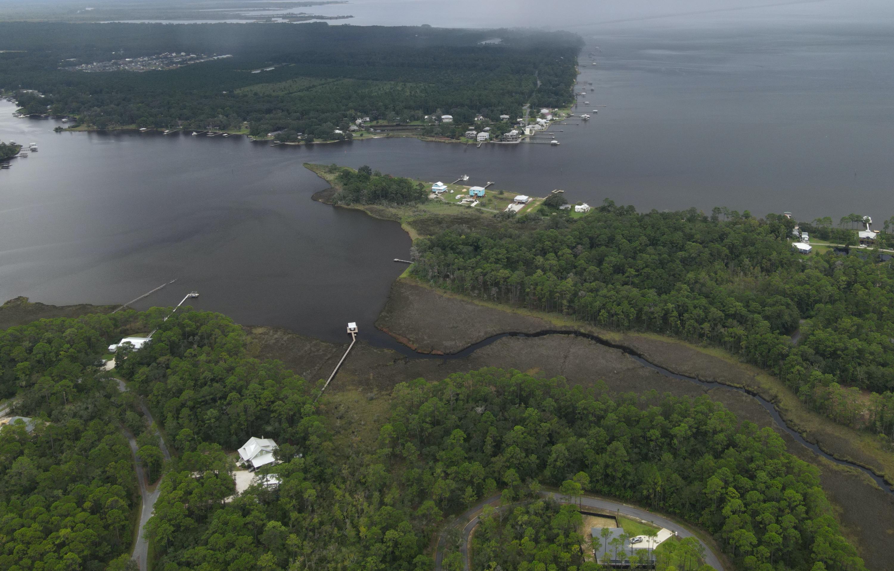 Large wooded .44 acre lot with beautiful old hardwood trees. Located close to the bay, walking trails and new Freeport stores. Easy access to hwy 20 and only 20 minutes to the beaches of South Walton. Currently No HOA dues. Covenants and restrictions in place for building.