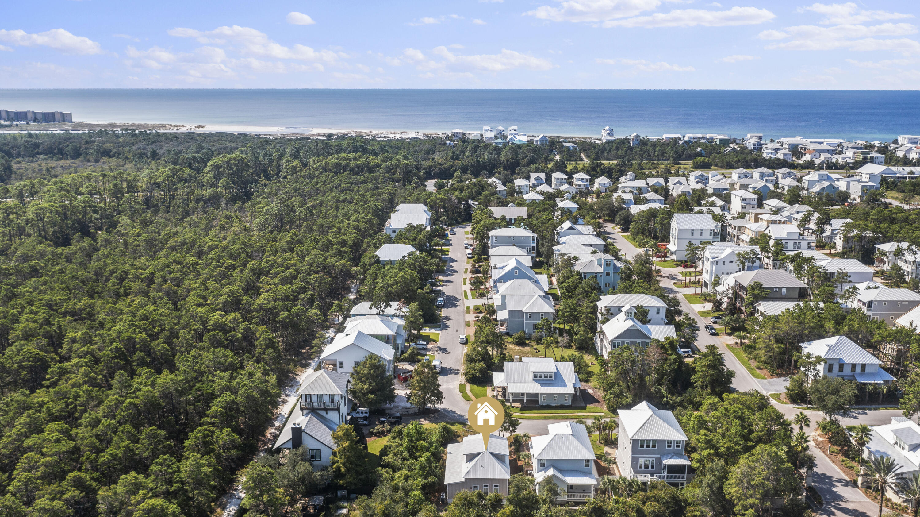 GRANDE POINTE AT INLET BEACH - Residential