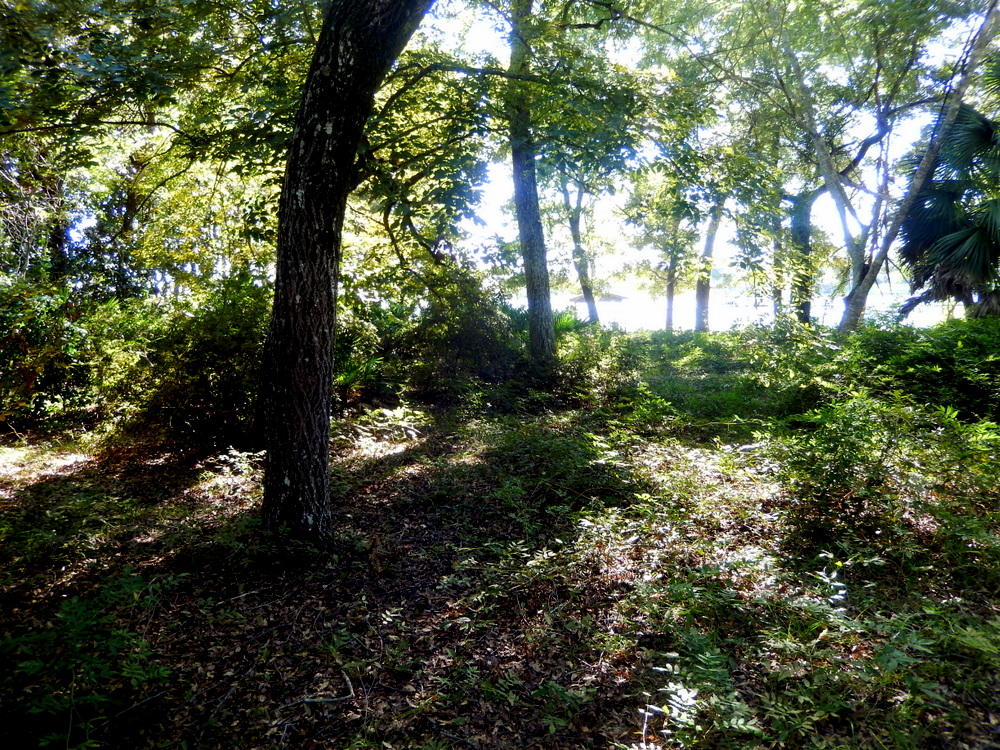 BAYOU POQUITO - Residential