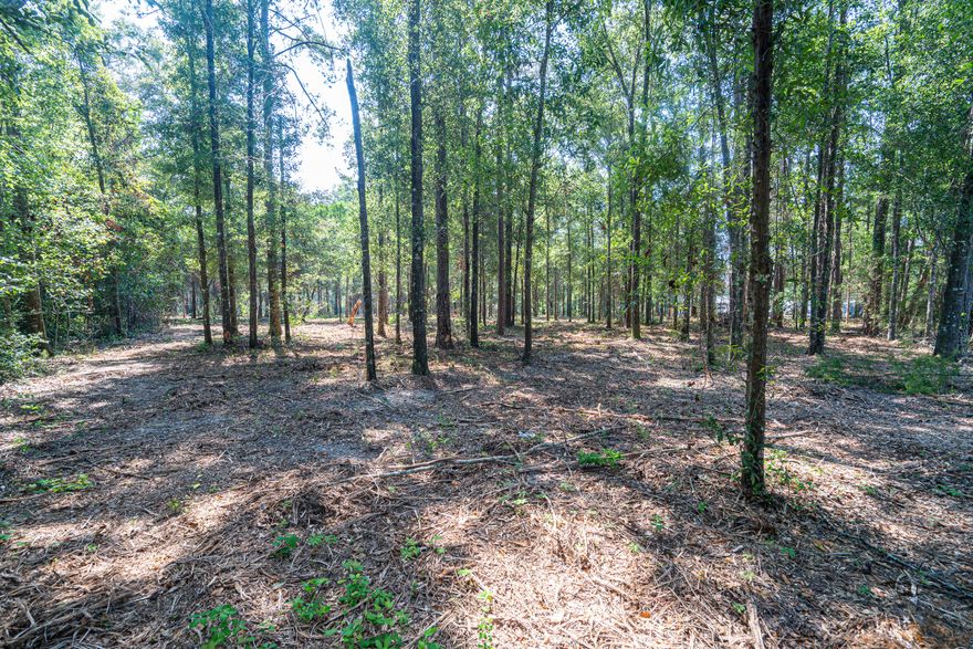 ''Prime Vacant Land Opportunity - Build Your Dream Here!

Discover the perfect canvas for your vision on this spacious 0.51-acre vacant land. Nestled in a serene setting, this property presents an excellent opportunity for investors, developers, or those seeking to build.
The property is conveniently located in the charming town of Laurel Hill, FL. Claim your land in this peaceful and friendly community atmosphere while still being within reach of essential amenities and services. The 2.06-acre plot division is complete and this is one of the four lots available. Corner lot on 7th St. and 2nd Ave.