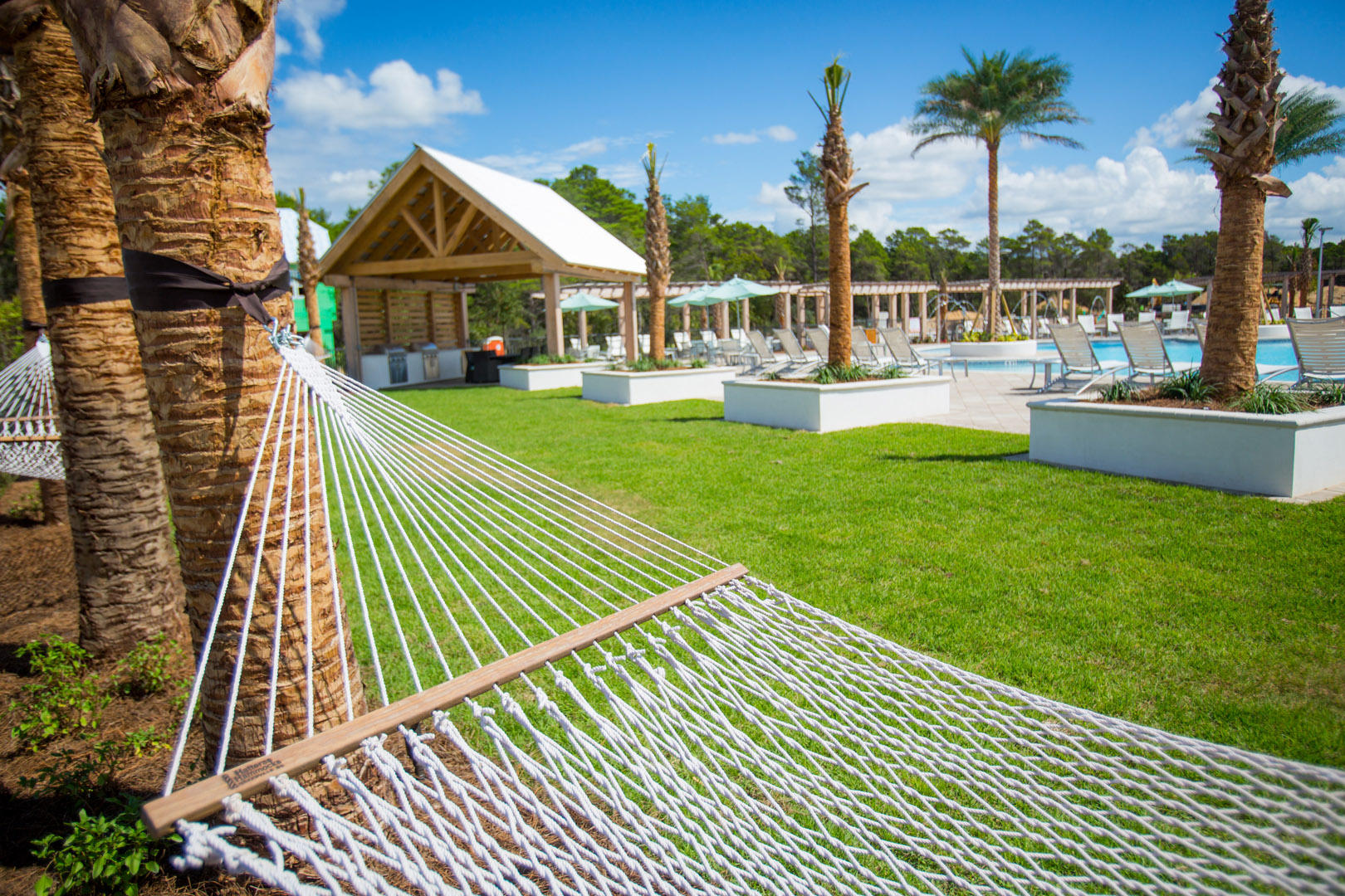 PROMINENCE/SINGLE FAMILY HOMES - Residential