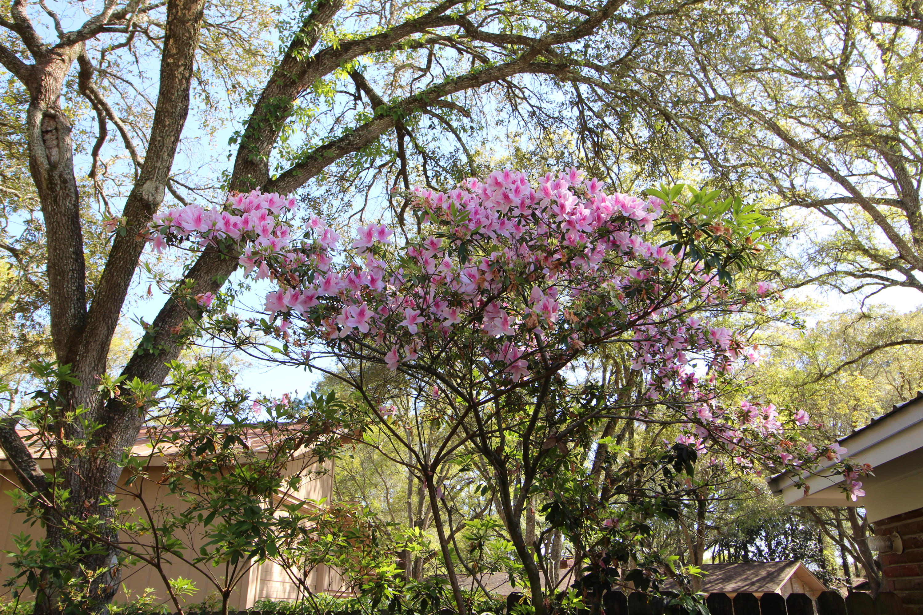 CLOVERDALE S/D - Residential