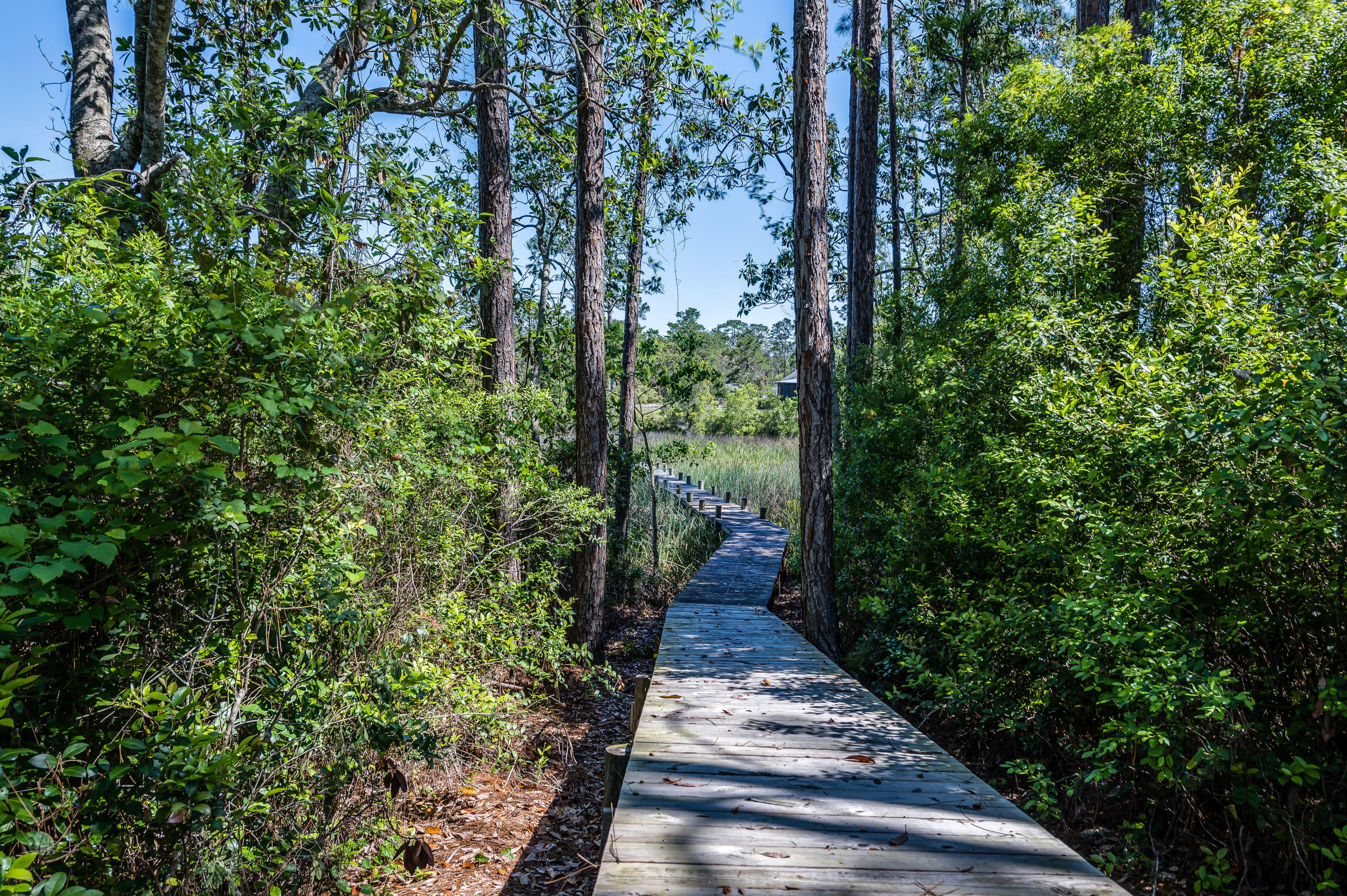 LAKE SHORE ESTATES - Residential