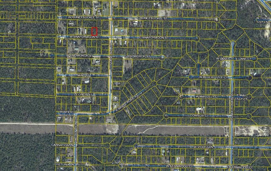 VACANT LOT IN MOSSY HEAD -- This quarter-acre level wooded lot is located in the heart of Mossy Head.  Perfect for a mobile home or to build your dream home. Mossy Head Water Works has a water line on West Snapdragon. You could either pay a tap fee for their water or have your own well dug.  A septic tank would be needed on this lot.  All dimensions and acreage subject to verification by Buyer at Buyer expense.  No survey. Bring us an offer!