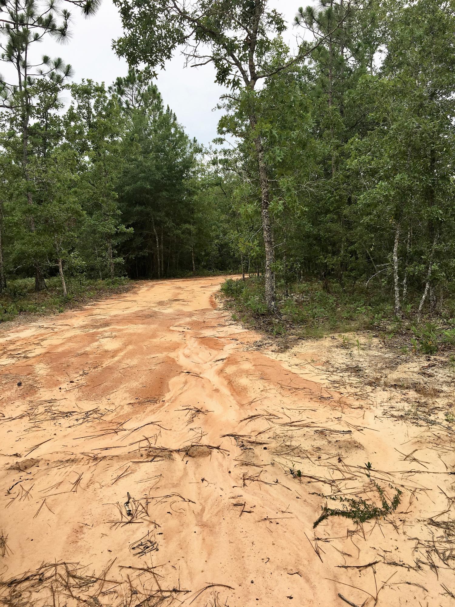 METES & BOUNDS - Land