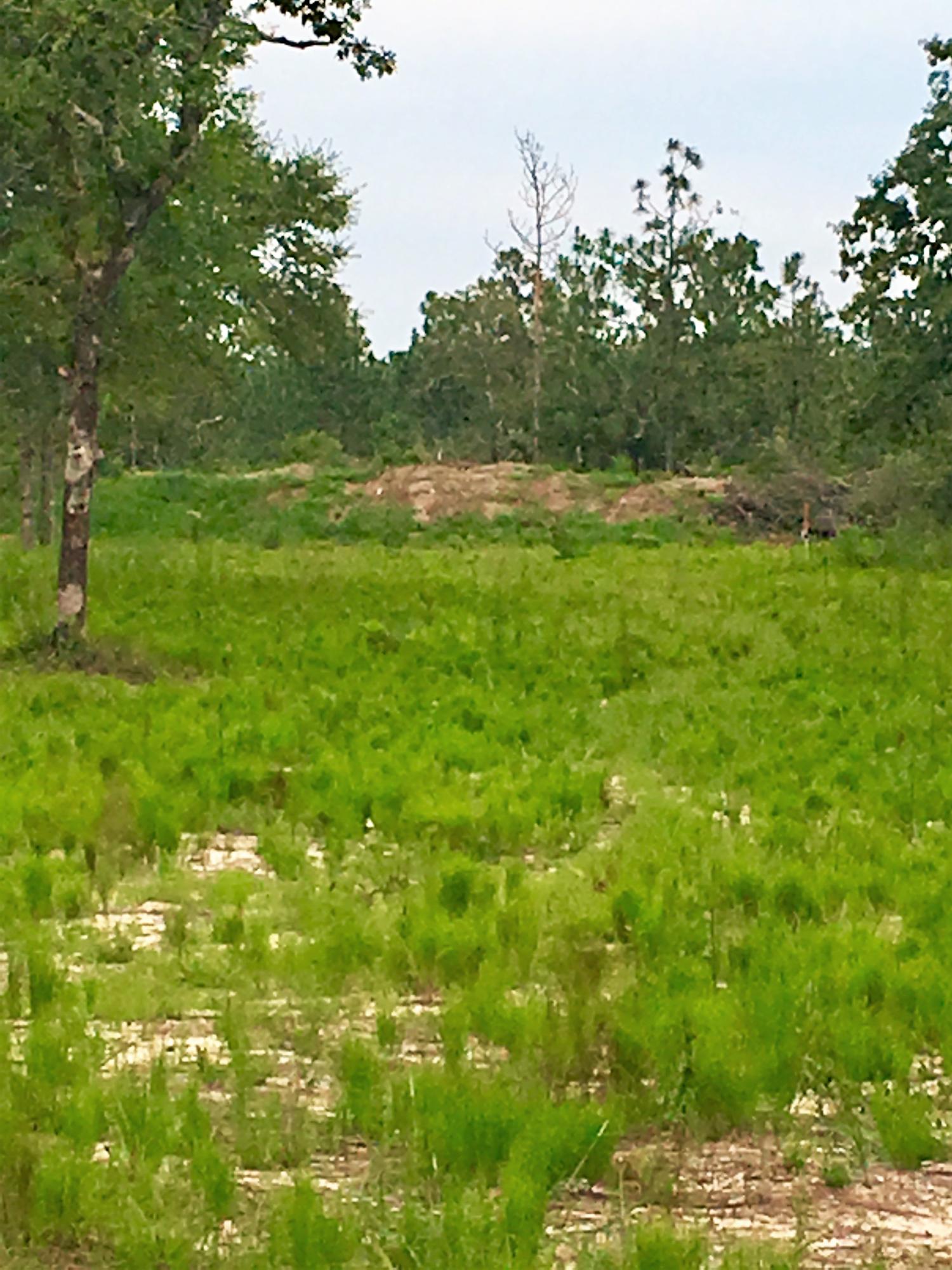 METES & BOUNDS - Land