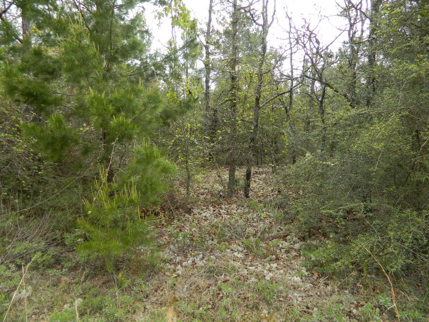 PRICE REDUCTION - MUST SELL - WATERFRONT LOT IN NORTHWEST FLORIDA!!!! This Beautiful 1.03 Acre Wooded Waterfront Lot ready for you to make your own private paradise! Use it as a weekend getaway or build your own home. Acreage is strategically located close to I-10, RV Parks, and Blackwater River State Park which offers two nature trails, picnic areas, and 30 campsites.