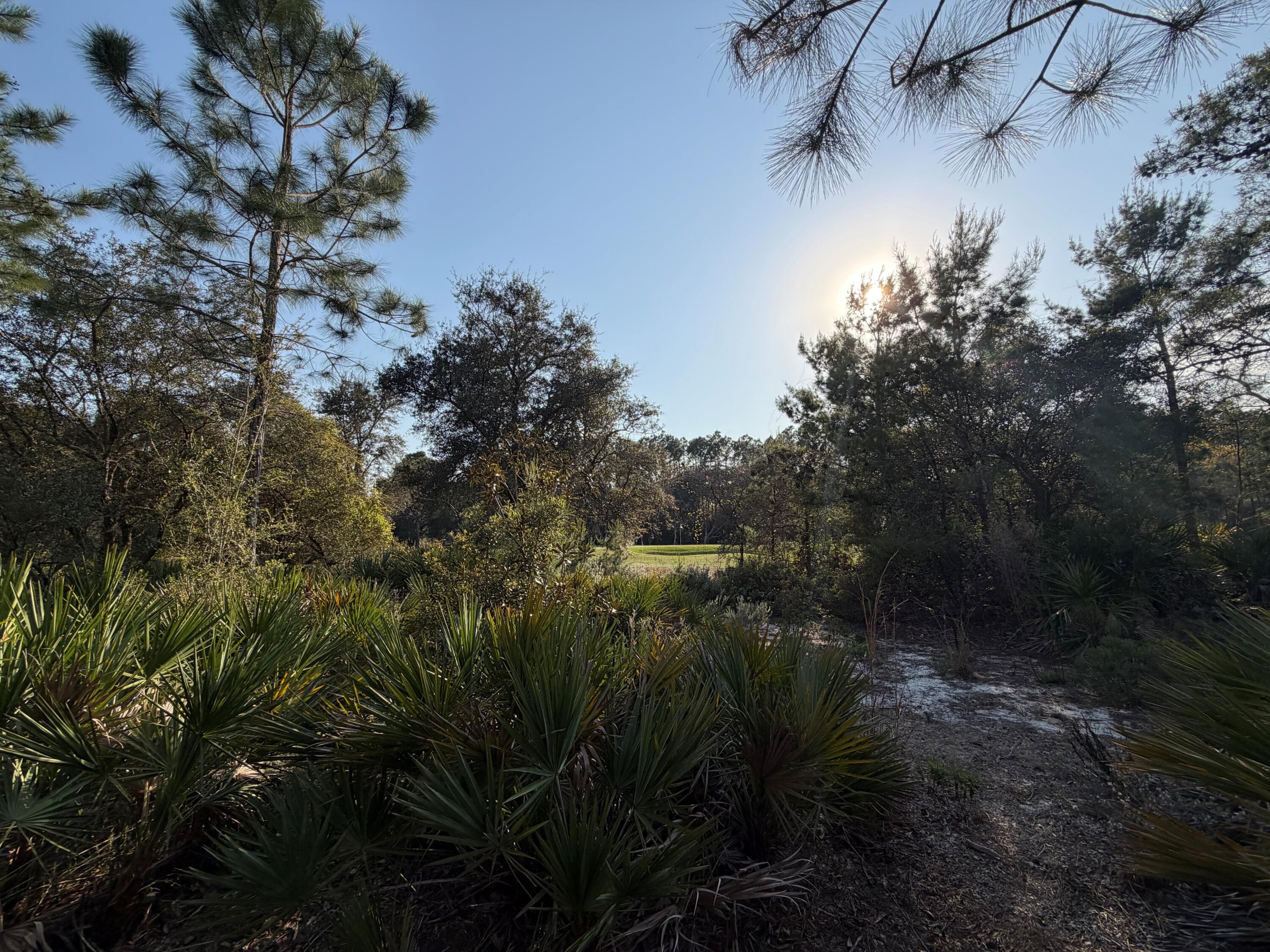 1603 Meadow Lark Way Wild Heron, FL - Residential