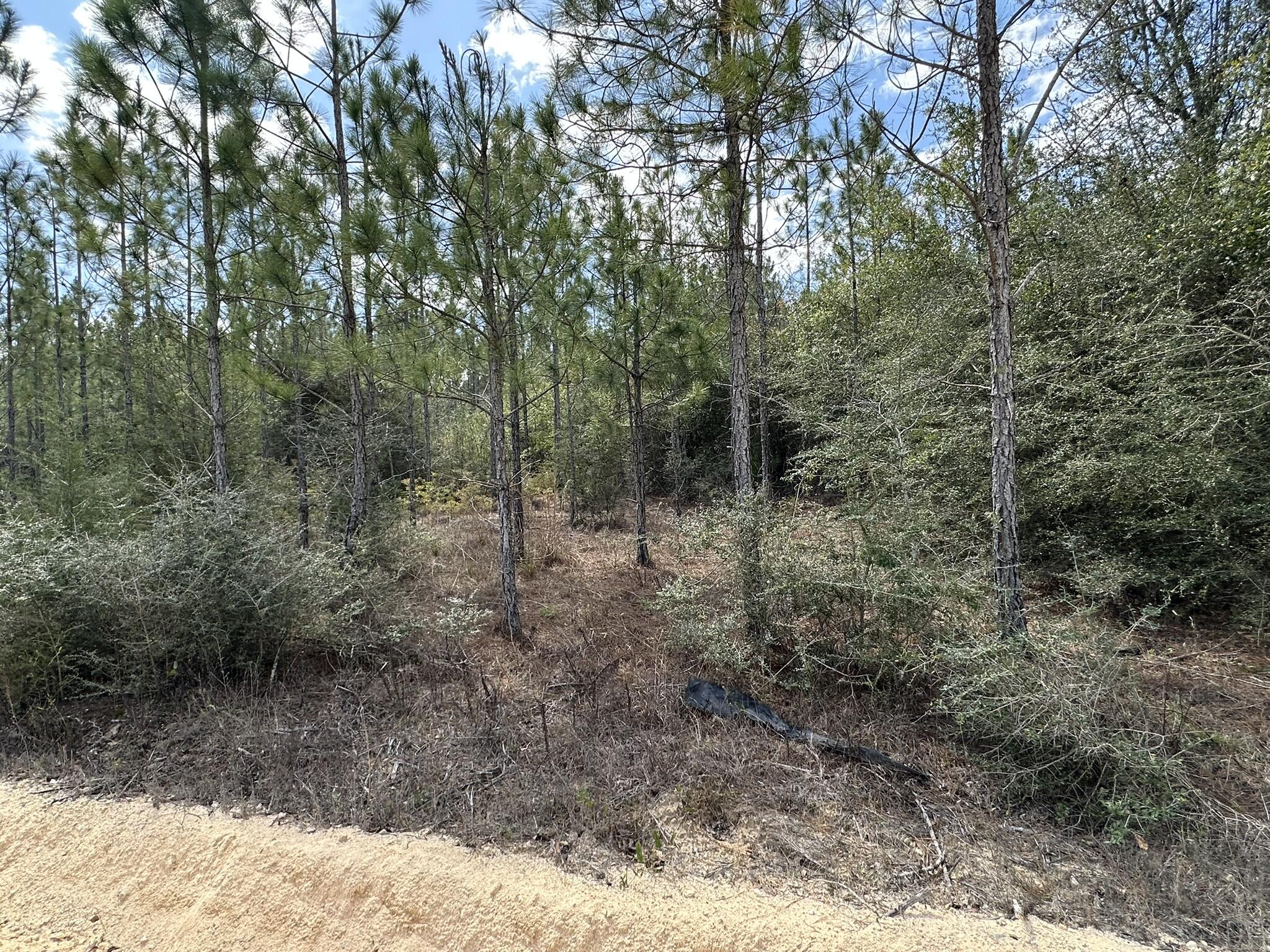 METES & BOUNDS - Land