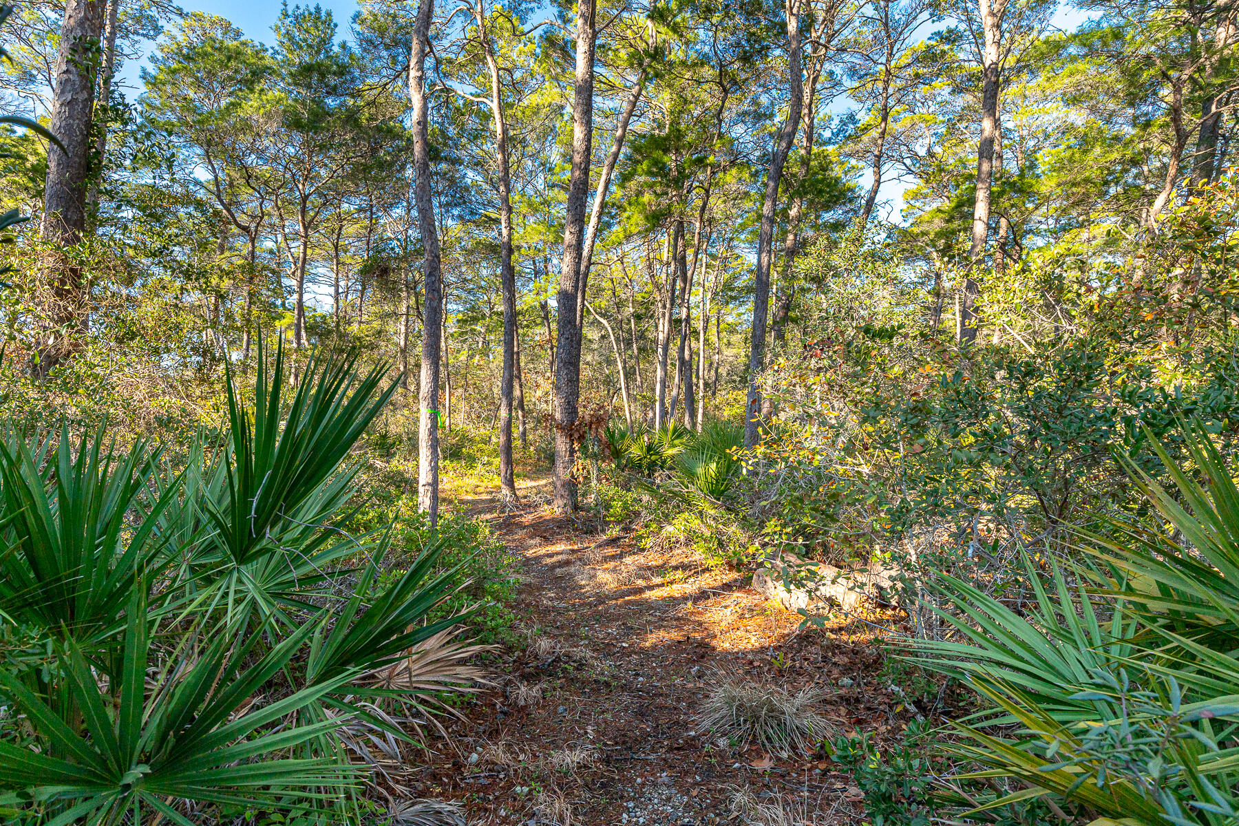GREENWAY PARK - Residential
