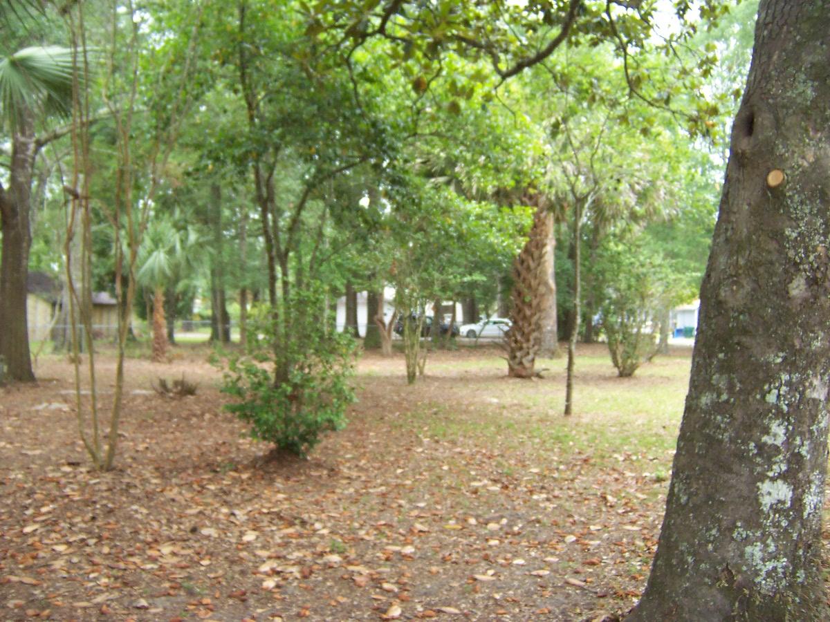 DEFUNIAK SPRINGS TOWN OF - Residential