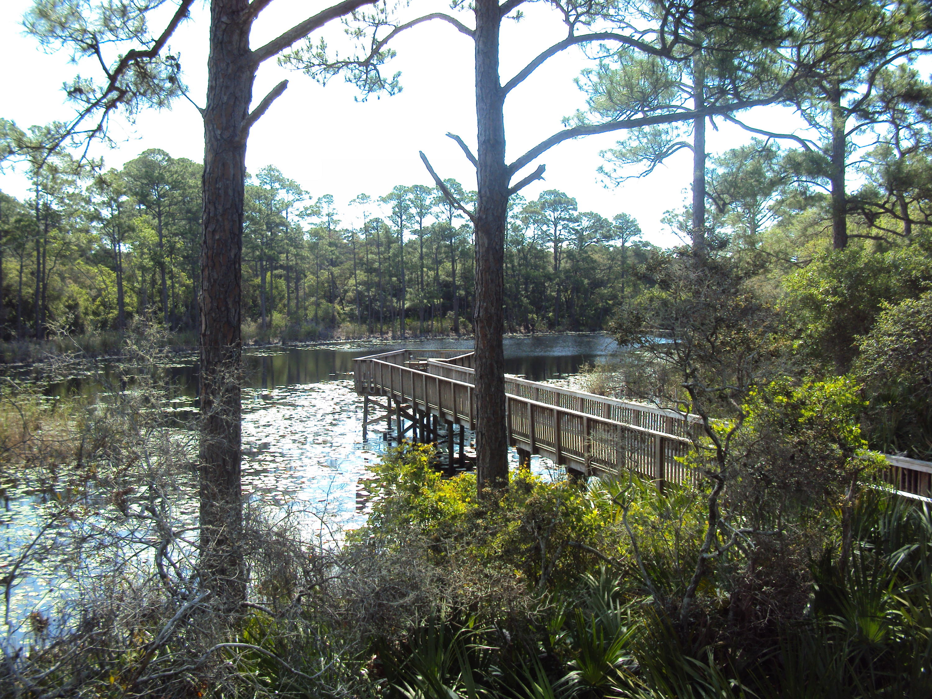 REDFISH VILLAGE - Residential