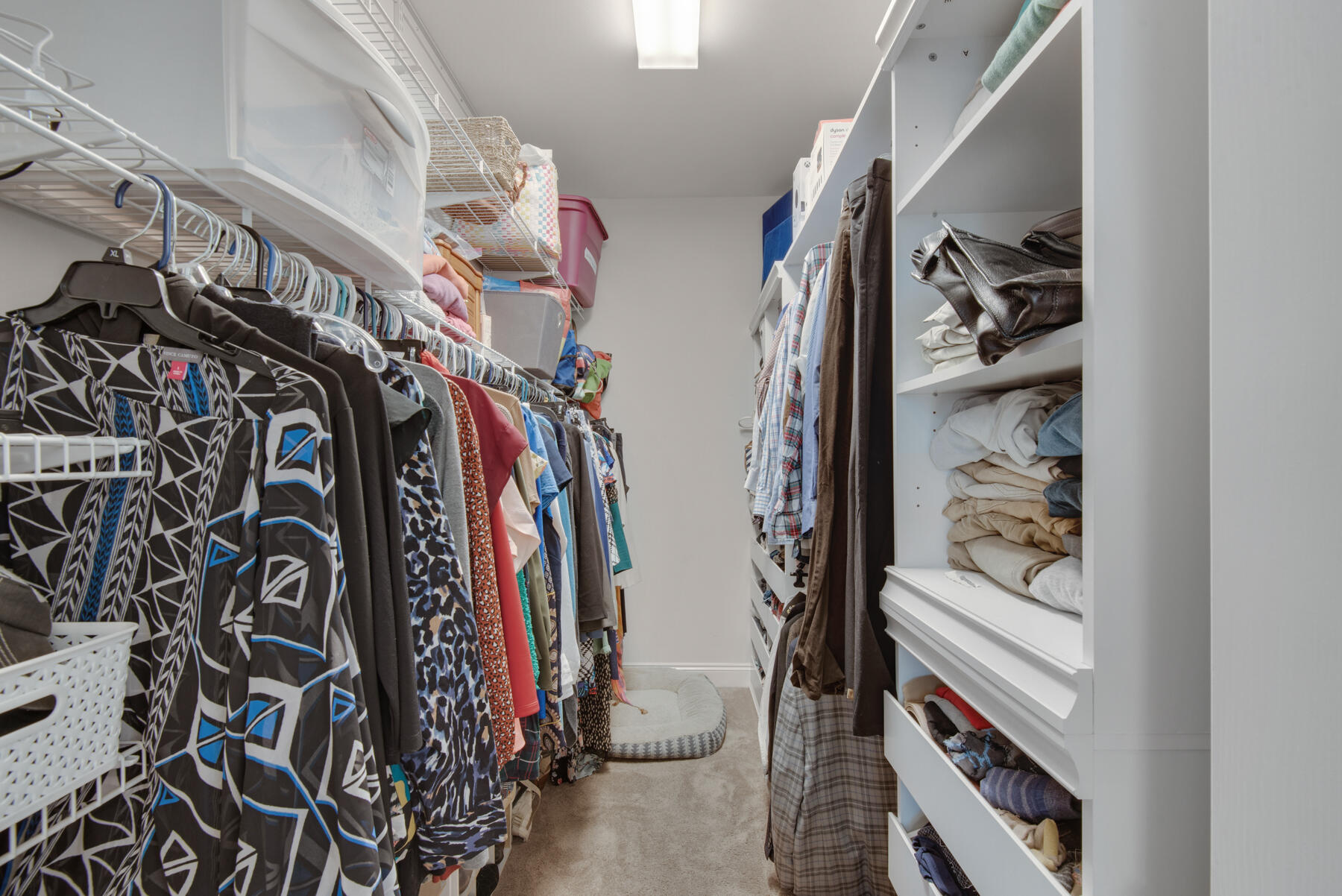 RAINTREE - Residential