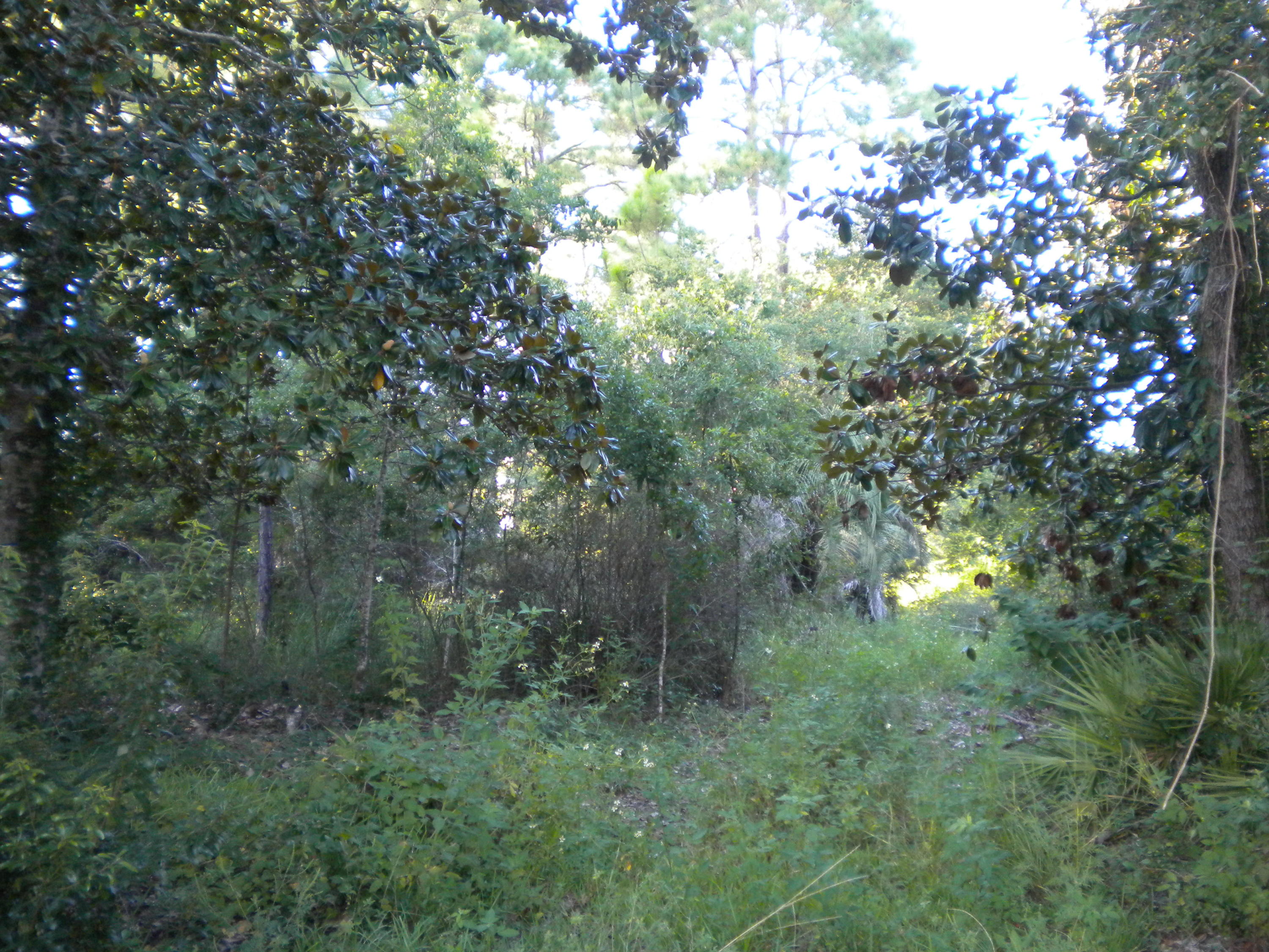 MORENO ACRES S/D - Land