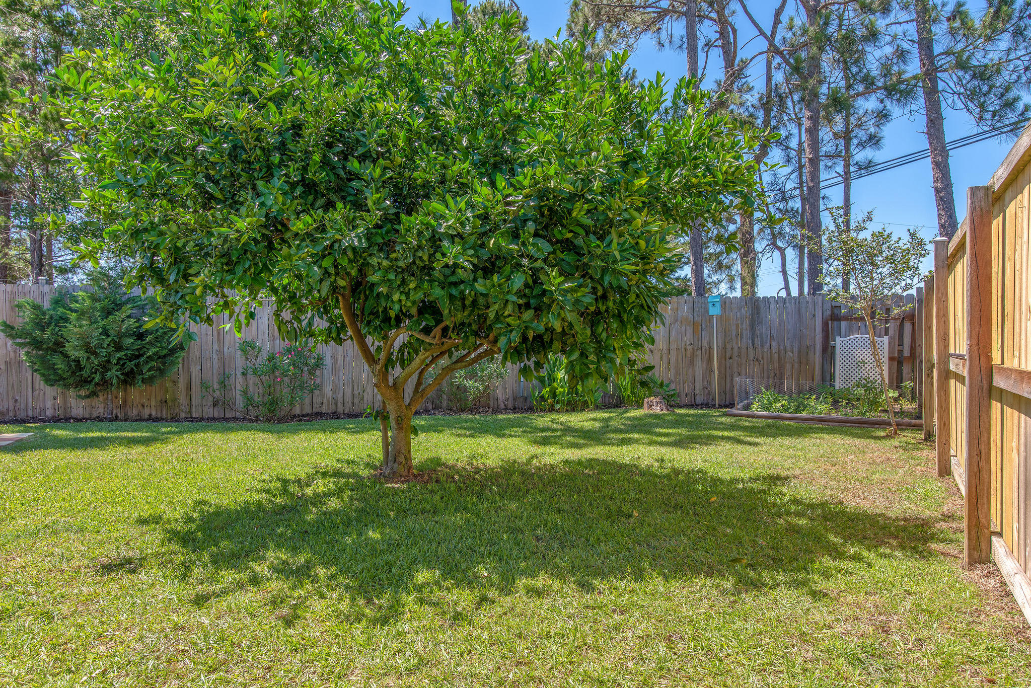 LIGHTHOUSE POINTE UNIT 1 & 2 - Residential