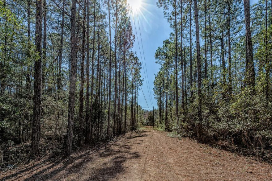 Conveniently located in the beautiful growing City of Freeport! Few miles away from US-331, US-Hwy 98, FL-20 and 18 miles from I10. Great opportunity to build your dream home (vacation home) or place a mobile home. This area is zoned Rural Village, private well and septic must be utilized. If you desire a bigger lot, next lot beside it is for sale as well and combined together will be approximately 1.62 acres. Lot 17 MLS 840148Daily errands and major services are located within 5-8 miles. Close distance to shopping centers, hospital, gulf courses, great food and our sugary sand beaches of the Emerald Coast. And don't forget about fishing!