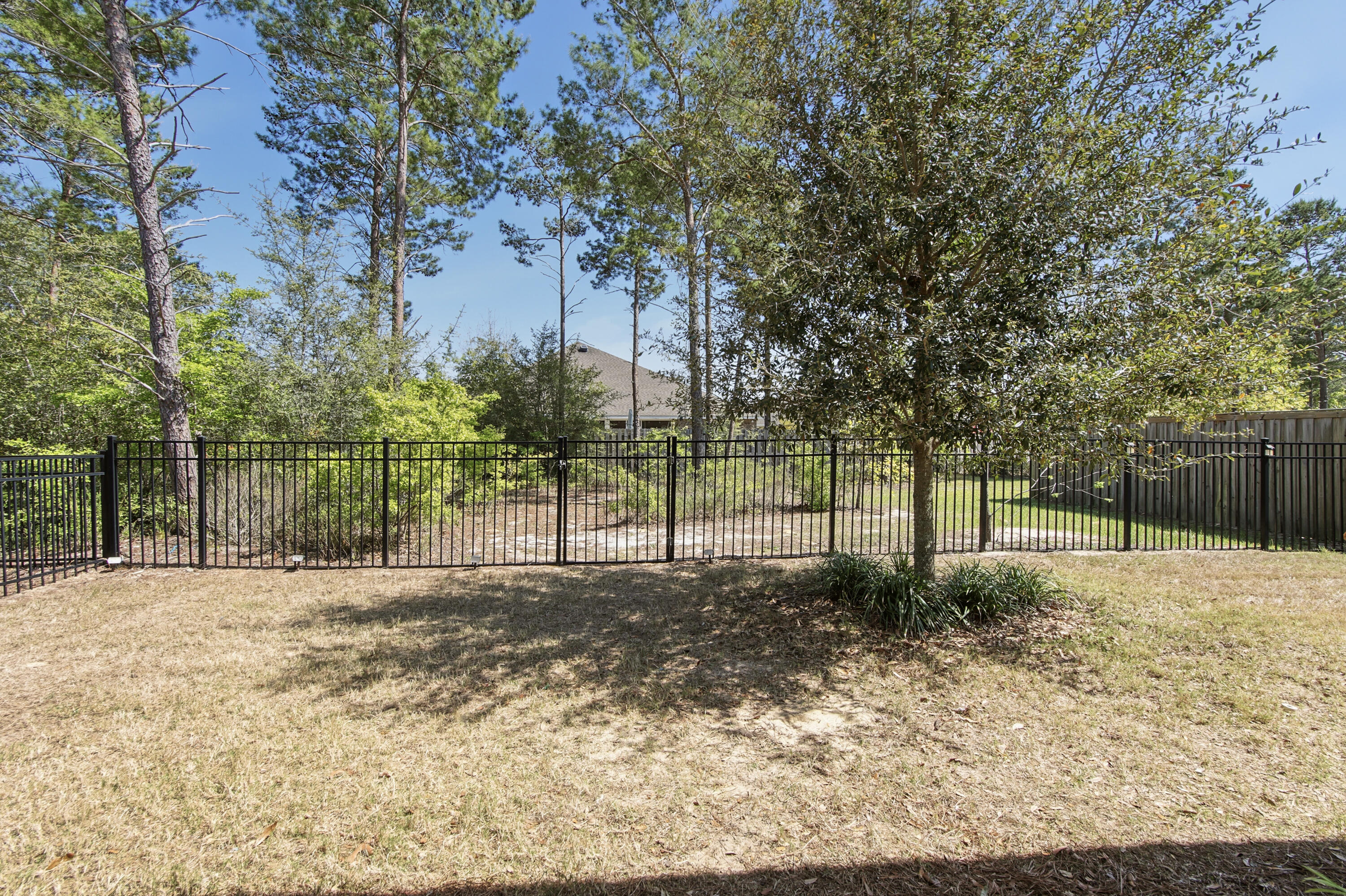 Hammock Bay - Firefly - Residential