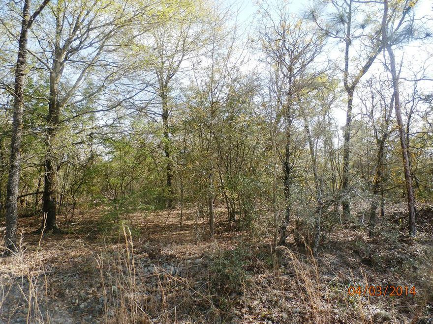 REO-Over two acres of vacant land close to Lake Juniper. This is bank owned and owner financing is available! Manufactured homes are allowed!