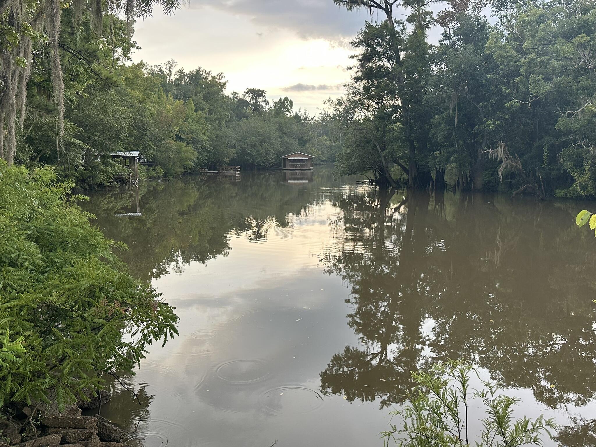 In Gulf County's Wewahitchka, this property is positioned in a community served by the Brothers River, which connects to the Apalachicola River. It's a place to launch for a day of fishing or cruising, with the land providing open ground for a variety of future uses. This lot will require county approval for a septic tank.