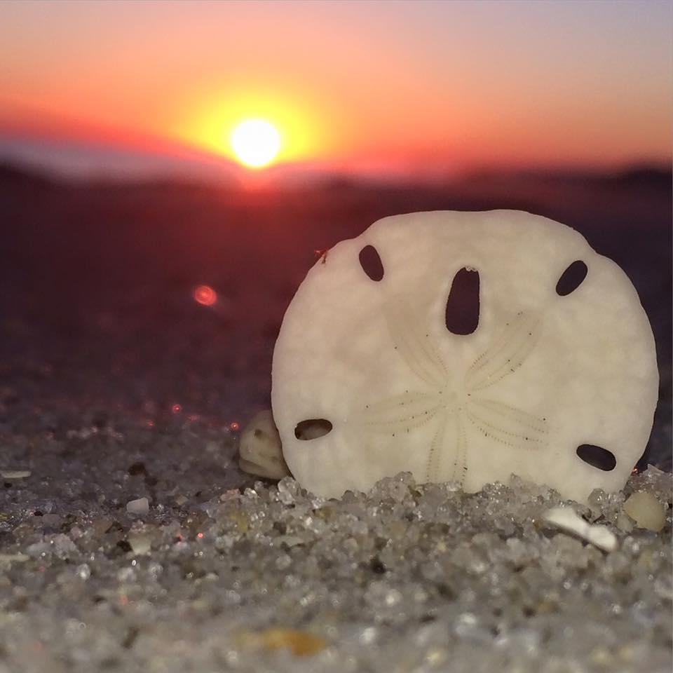 Mussett Bayou Manor - Residential