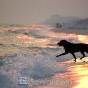 Mussett Bayou Manor - Residential