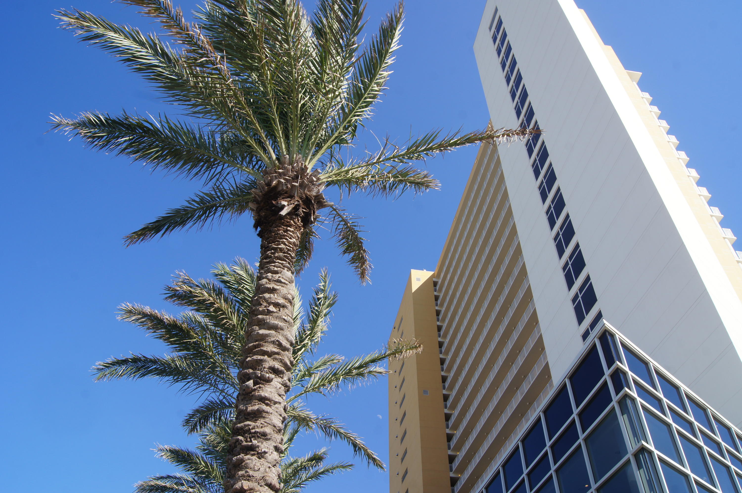 STERLING REEF - Residential