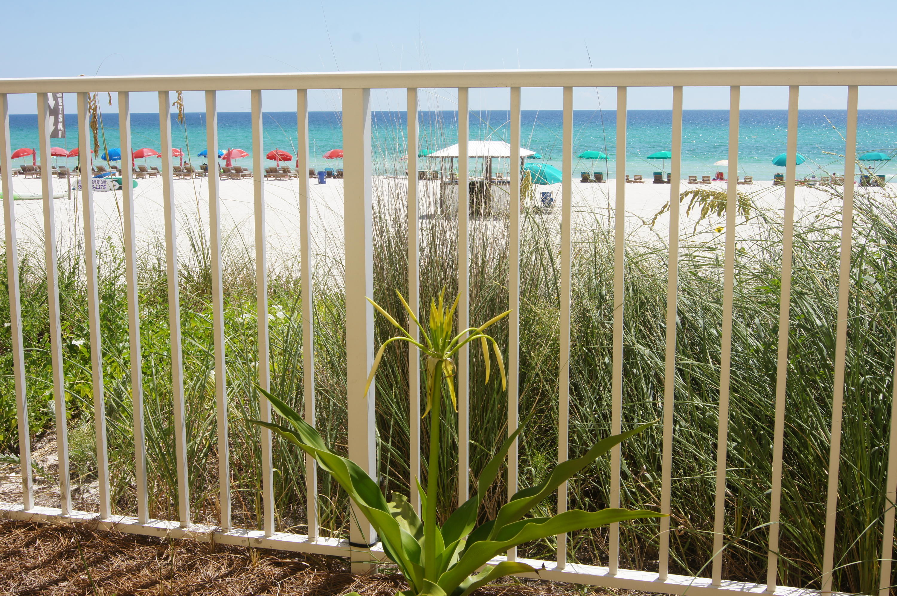 STERLING REEF - Residential