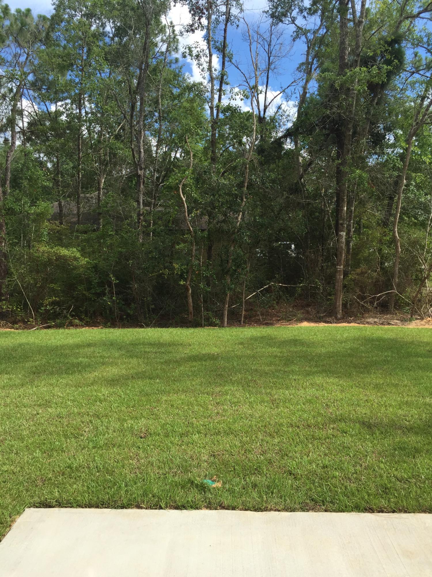 The Canopies - Residential