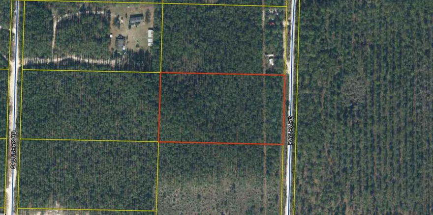 5.07 acres of wooded land east of Freeport. This property is ready for your new build or mobile home. It is Zone X so no need to worry about staying dry. 363 Kaylea Rd is 2 parcels north of this one.