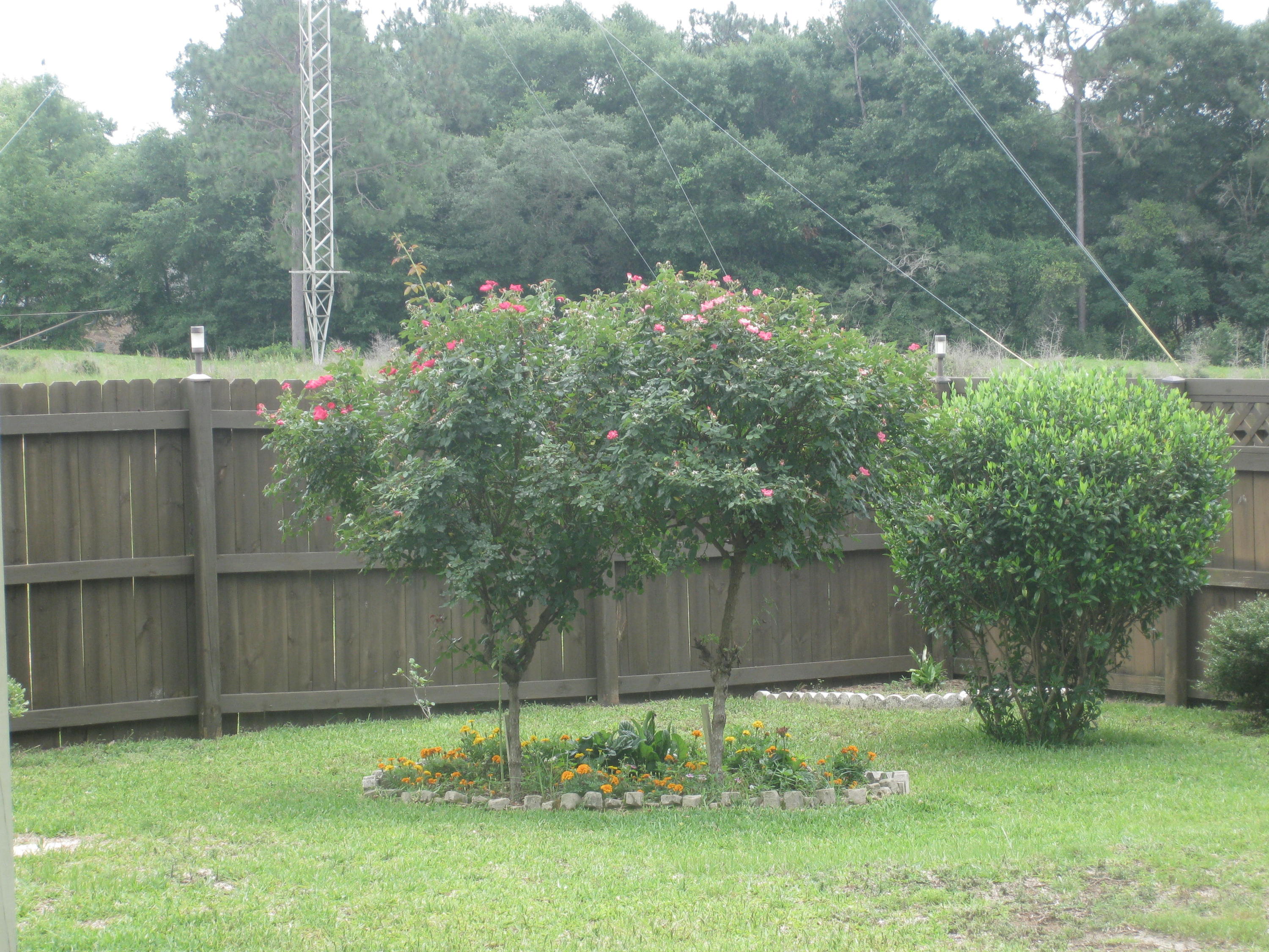 PINNACLE PORT - Residential