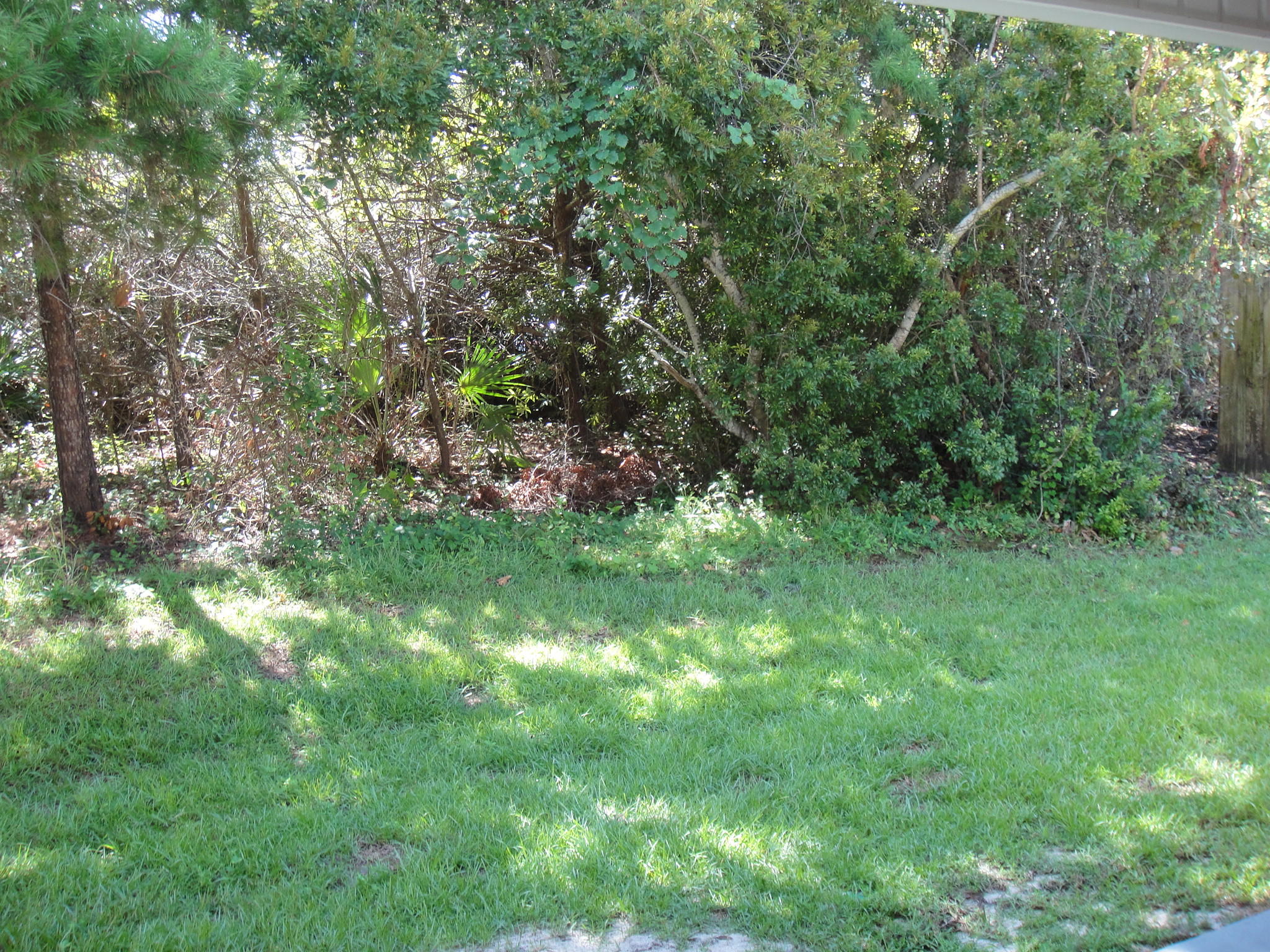 PARADISE RETREAT - Residential