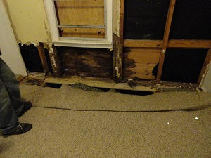 RESUB OF KELLYS ADD TO DESTIN - Residential