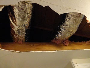 RESUB OF KELLYS ADD TO DESTIN - Residential