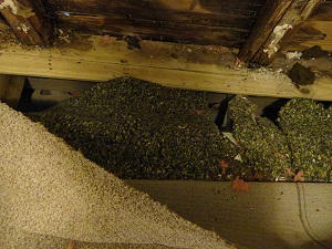 RESUB OF KELLYS ADD TO DESTIN - Residential