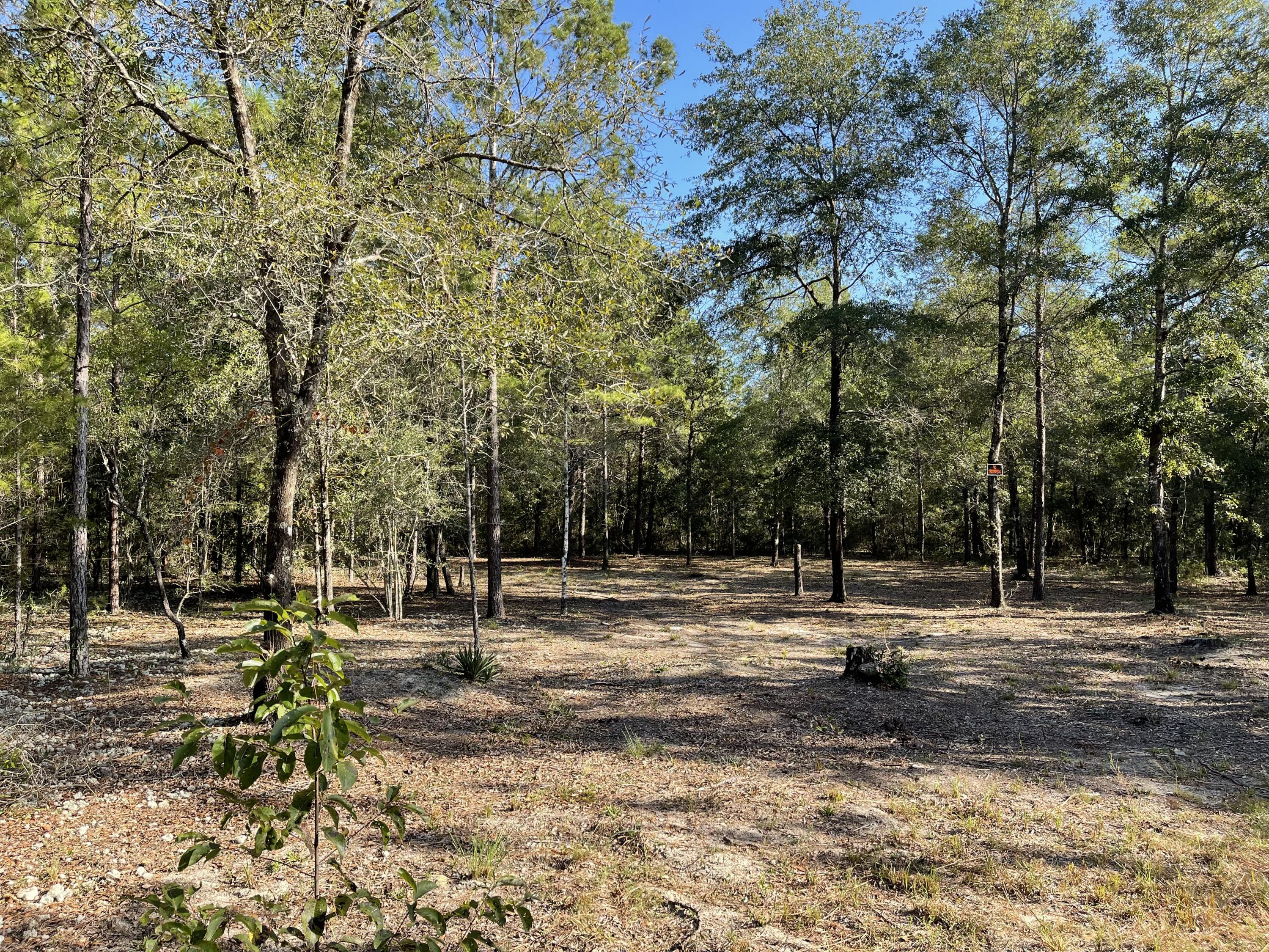 OAKWOOD HILLS UNIT II - Land