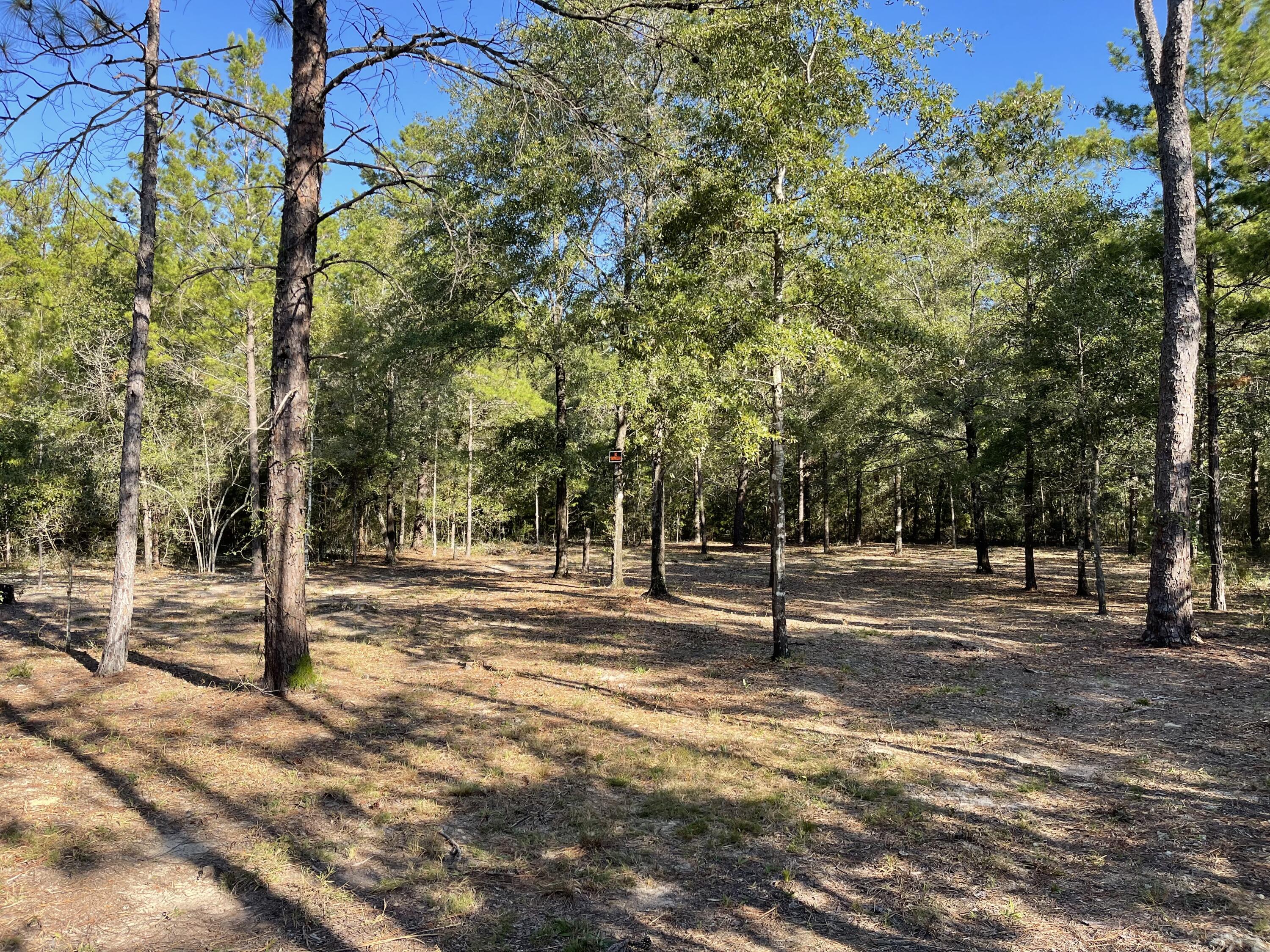 Lovely secluded lot (approx .23 acres), which has been carefully cleared leaving choice trees for future homesite between DeFuniak Springs FL and Mossyhead. No HOA. Minimal Restrictions. There are no existing utilities. Well/Power/Septic required. Easy access to the I-10 & CR 285 south making it a great location for work no matter what direction you need to go! You will be approx. 30-45 mins to most workplaces as well as the beautiful white sandy beaches of Florida famous Emerald Gulf Coast and Crab Island. Modular homes allowed. Property is Flood Zone X. Per the Walton GIS mapping, the property does not appear to have wetlands.Buyer needs to verify building codes, zoning regulations, wetlands and flood zones, etc with proper local authorities to ensure buyer will be able to utilize the property for intended use.
Information contained within this listing is deemed to be accurate but is not guaranteed.
All dimensions shown are approximately only per CRS Property Data Report. A Survey must be completed to confirm property lines and dimensions.