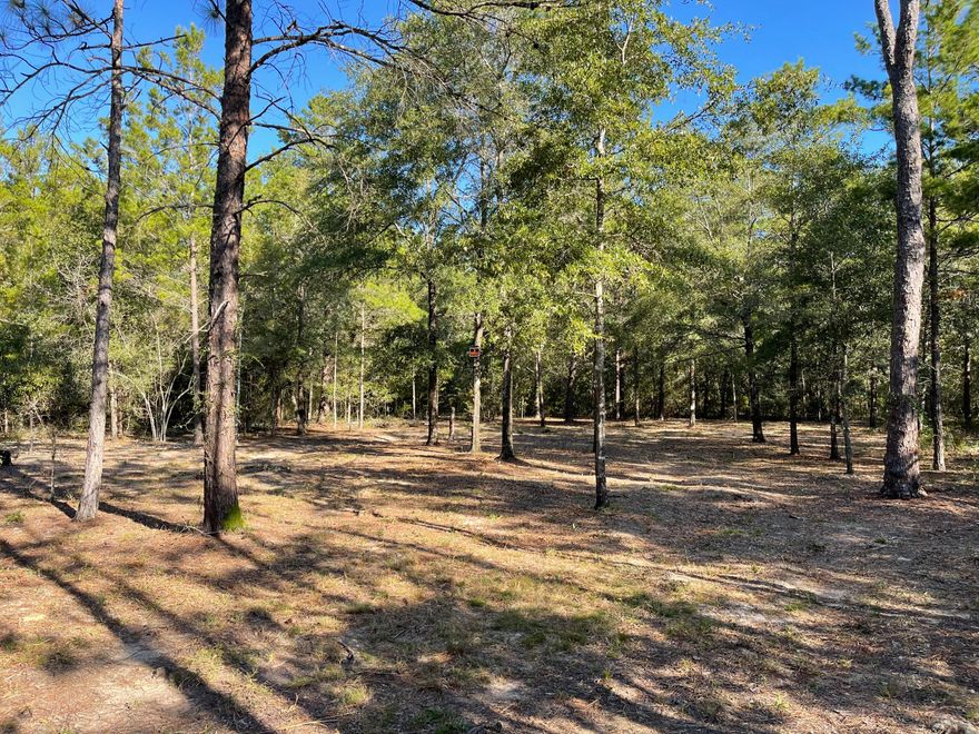 Lovely secluded lot (approx .23 acres), which has been carefully cleared leaving choice trees for future homesite between DeFuniak Springs FL and Mossyhead. No HOA. Minimal Restrictions. There are no existing utilities. Well/Power/Septic required. Easy access to the I-10 & CR 285 south making it a great location for work no matter what direction you need to go! You will be approx. 30-45 mins to most workplaces as well as the beautiful white sandy beaches of Florida famous Emerald Gulf Coast and Crab Island. Modular homes allowed. Property is Flood Zone X. Per the Walton GIS mapping, the property does not appear to have wetlands.Buyer needs to verify building codes, zoning regulations, wetlands and flood zones, etc with proper local authorities to ensure buyer will be able to utilize the property for intended use.

Information contained within this listing is deemed to be accurate but is not guaranteed.

All dimensions shown are approximately only per CRS Property Data Report.  A Survey must be completed to confirm property lines and dimensions.
