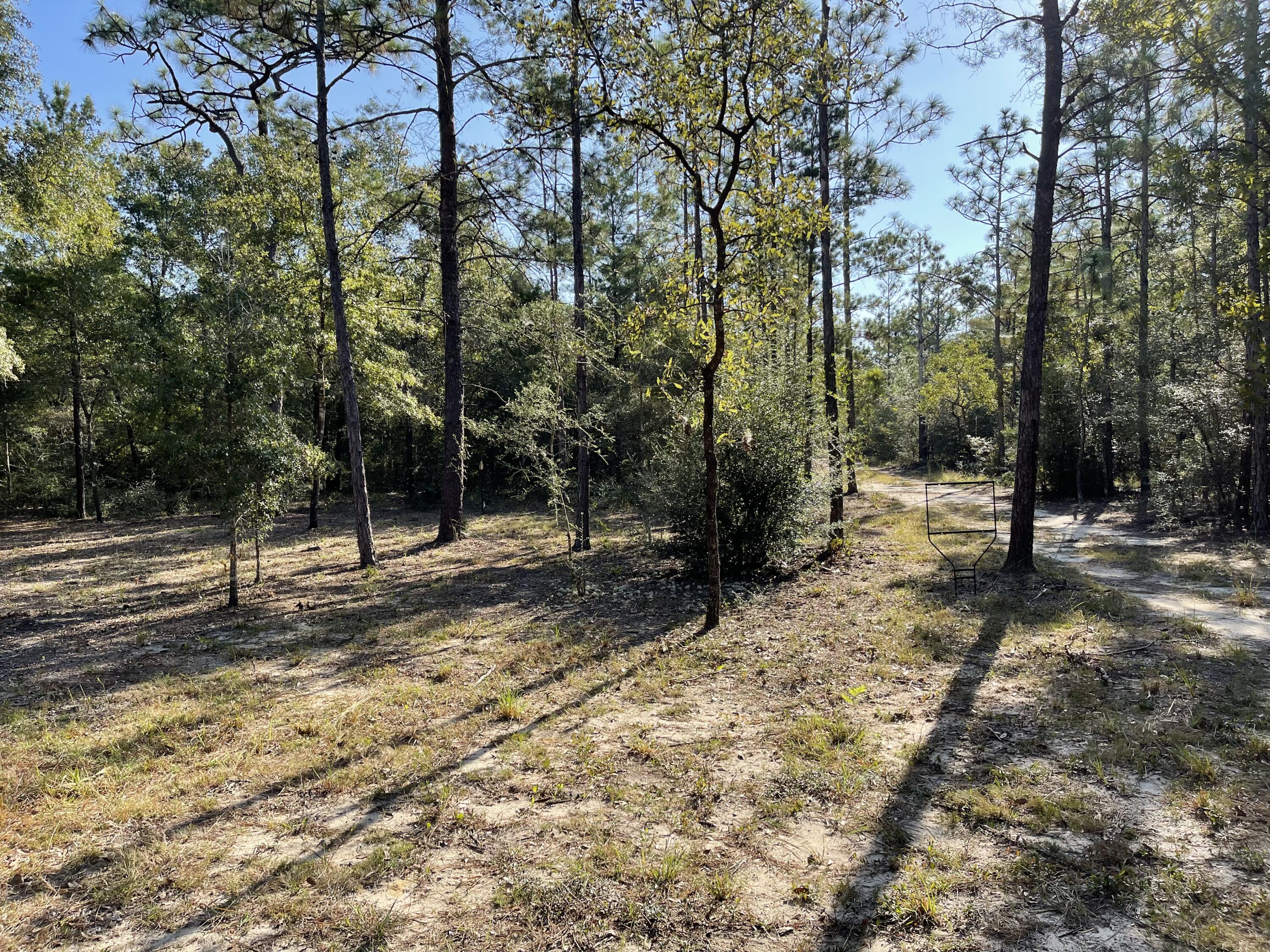 OAKWOOD HILLS UNIT II - Land