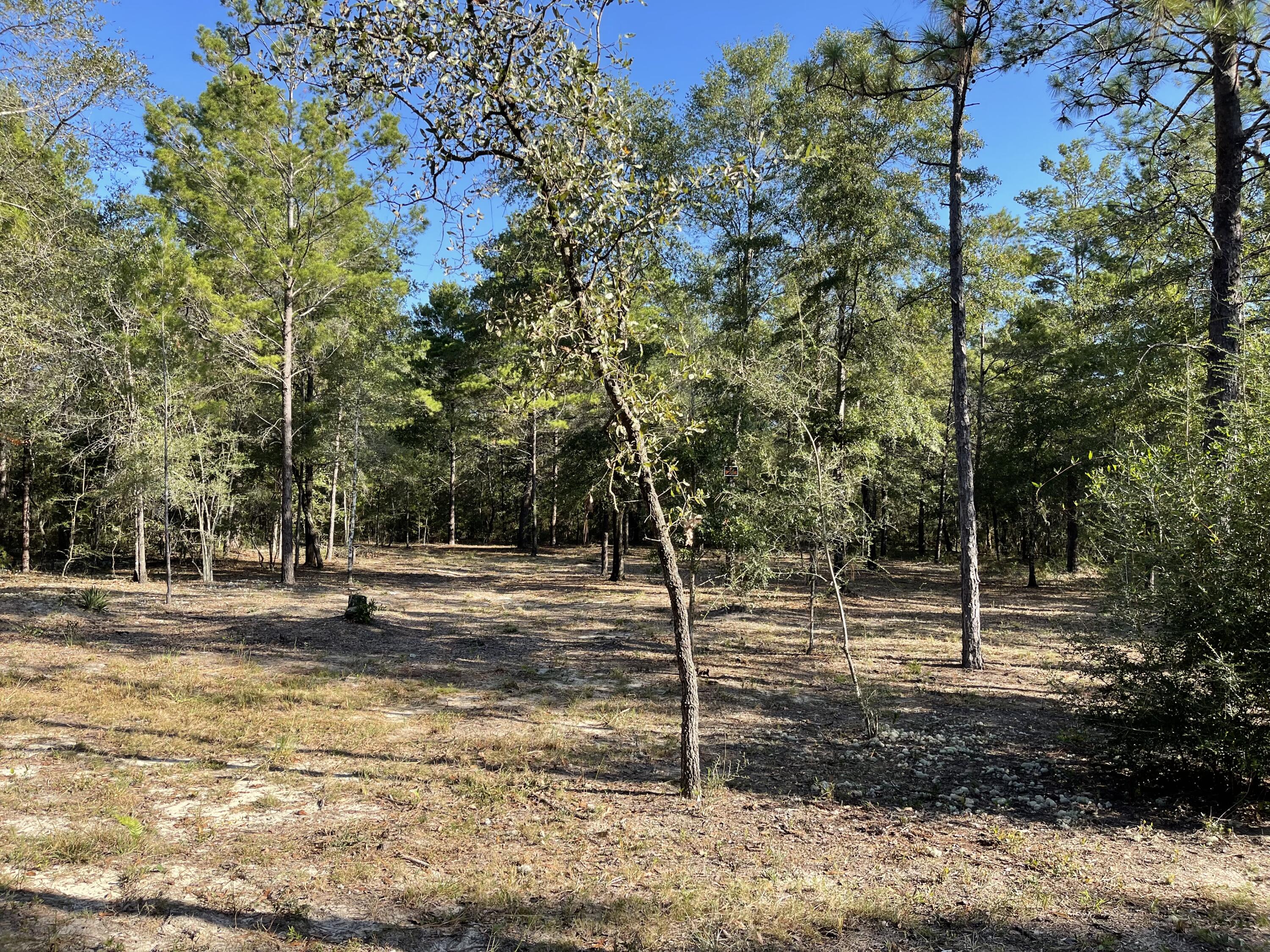 OAKWOOD HILLS UNIT II - Land