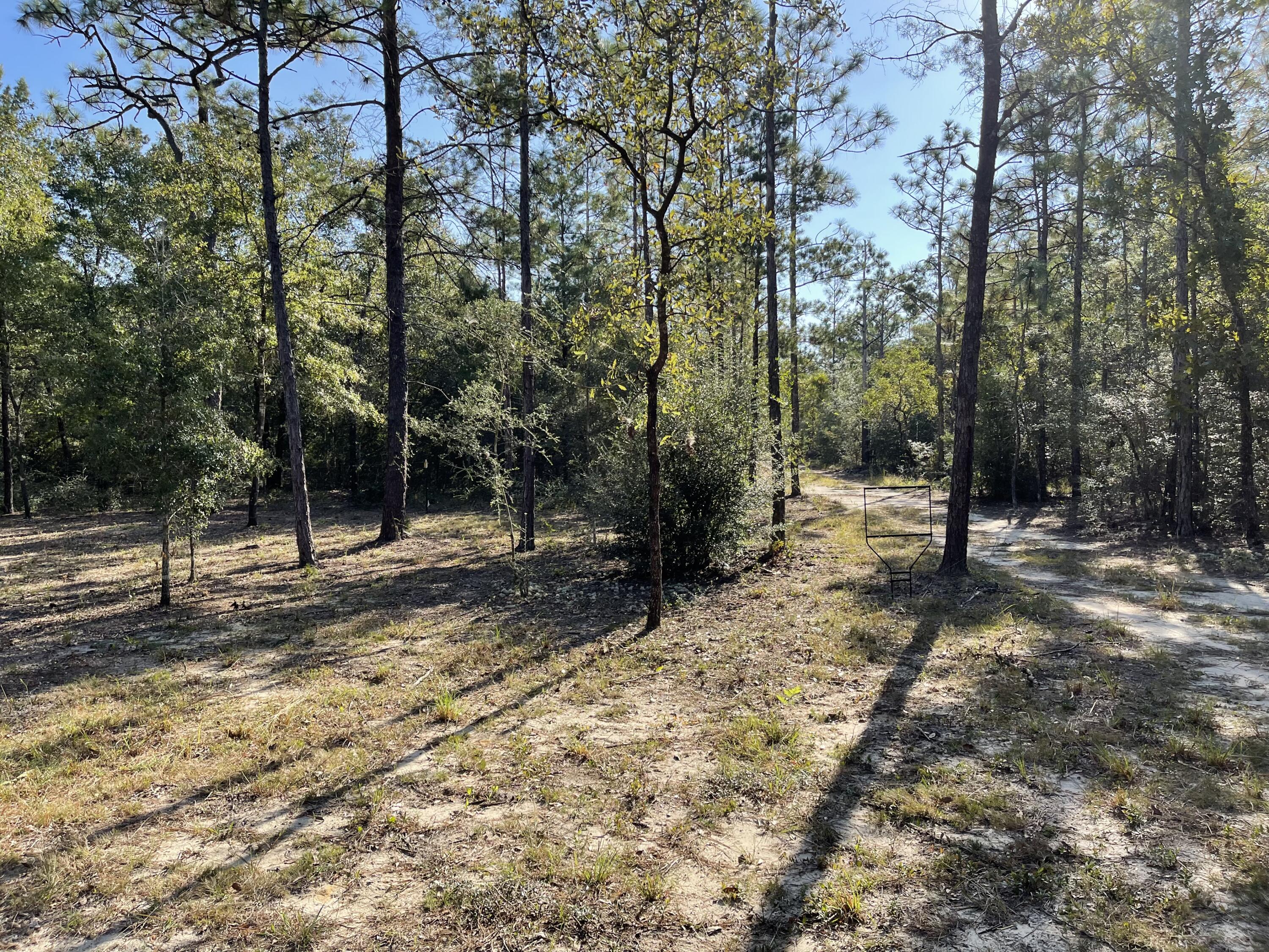 OAKWOOD HILLS UNIT II - Land