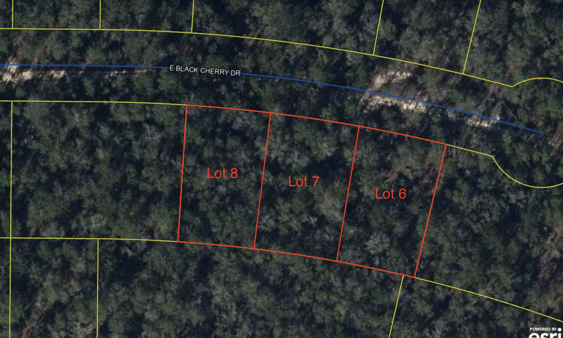 OWNER FINANCING AVAILABLE with $3,000 down. About a quarter-acre lot located in FLOOD ZONE X. No required flood insurance. Almost at the end of the cul-de-sac. Just off Hwy 90, close to I-10. Three total lots available, Lots 6, 7 and 8. Same price for each lot, $12,900.