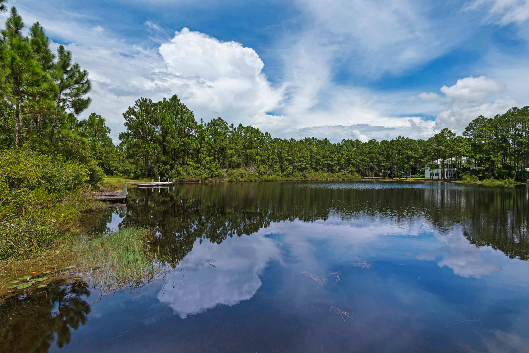 CANO ESTATES - Residential