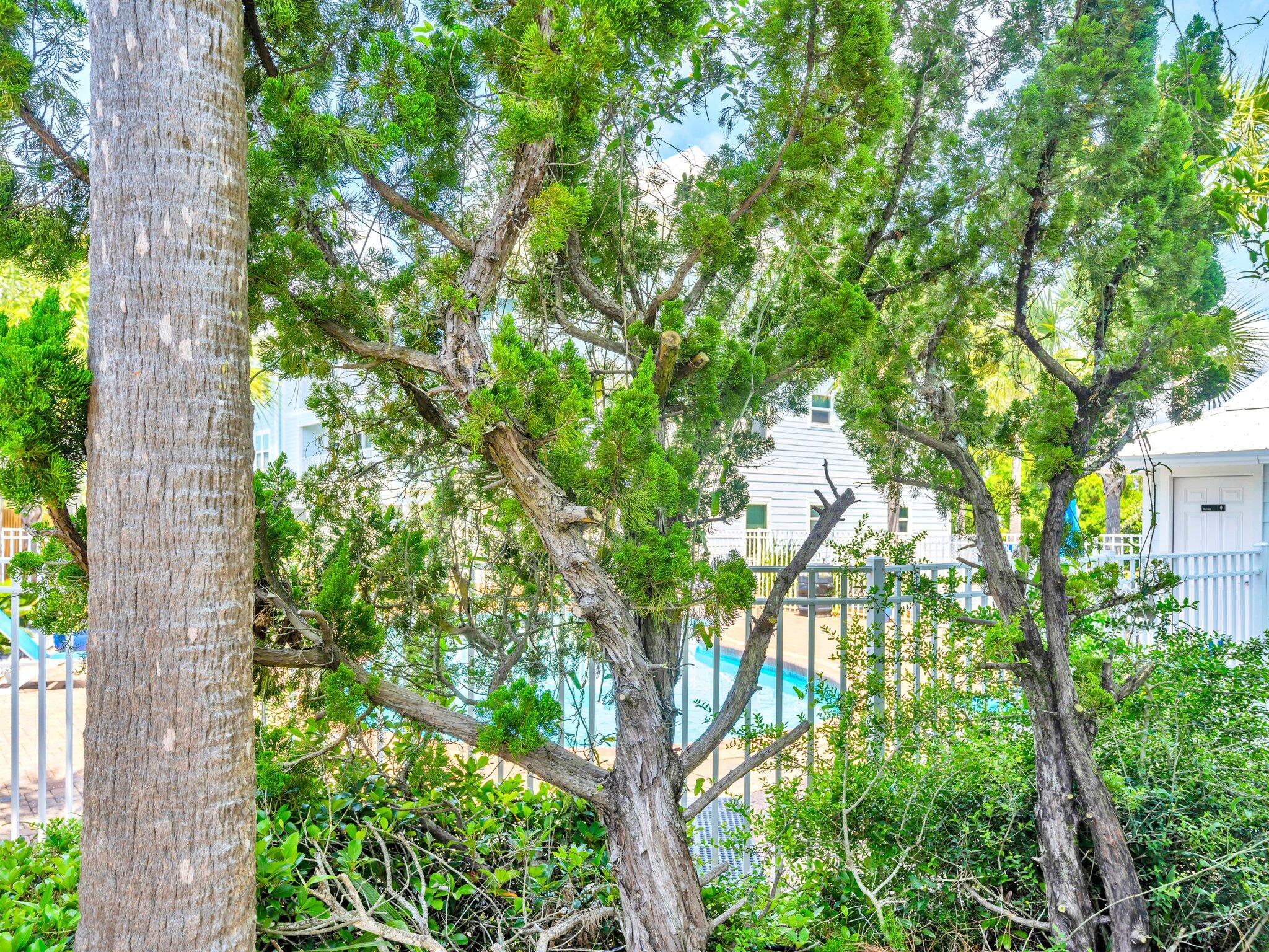 BEACHSIDE VILLAS CONDO - Residential