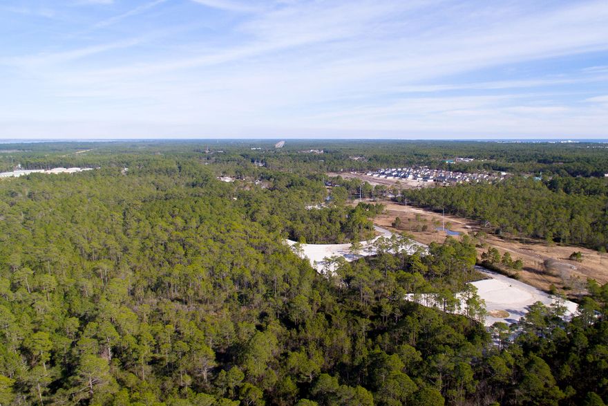 Located in the desirable Church Street area of Santa Rosa Beach, this undeveloped 10-acre parcel of land is a prime opportunity for development as a private estate or small neighborhood of up to 20 homes. Located less than half a mile north of Highway 98, the undeveloped land is situated between the white sands of Santa Rosa Beach and Churchill Bayou, whose waters lead out to Choctawhatchee Bay. Both areas provide enviable recreational opportunities within easy reach of Church Street. The surrounding neighborhood has a range of established local businesses, shops, restaurants and beauty spas. Santa Rosa Beach earned its place as one of Travel and Leisure's Top Five Favorite Towns in America with a host of family-friendly amenities including a Golf and Beach Clubs.